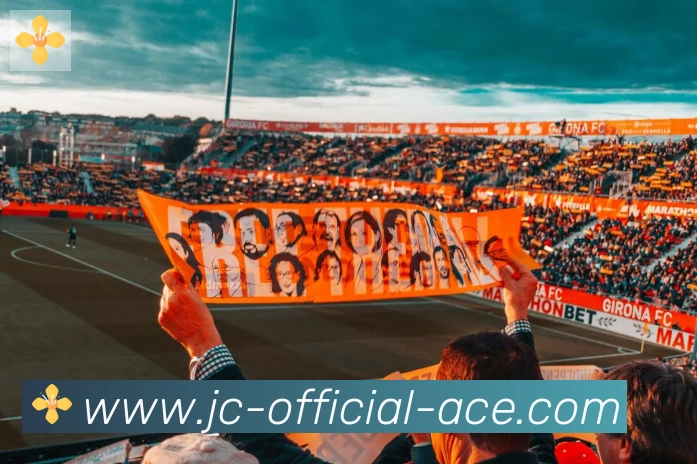 App Interface Preview