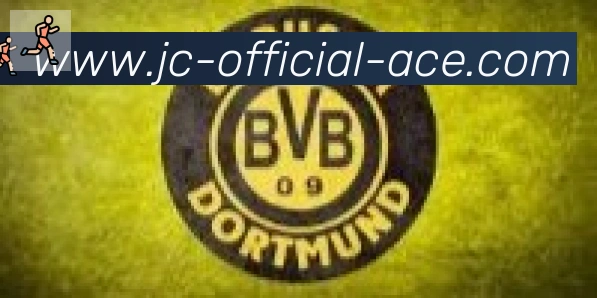 竞彩网首页合作伙伴